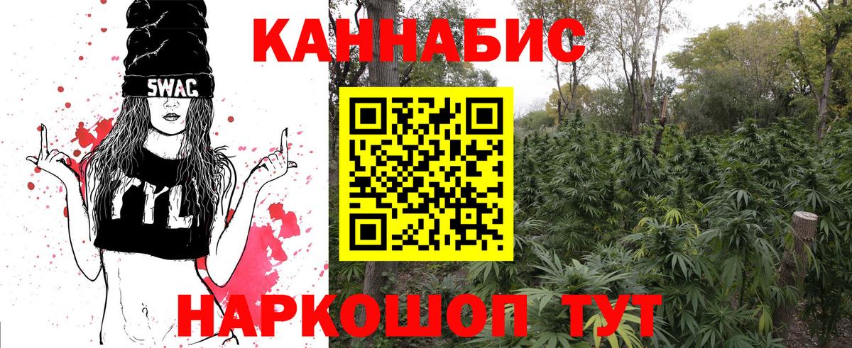 Канабис планчик  Вход с VPN  Канабис OG Kush  МАРИХУАНА планчик  Курган 